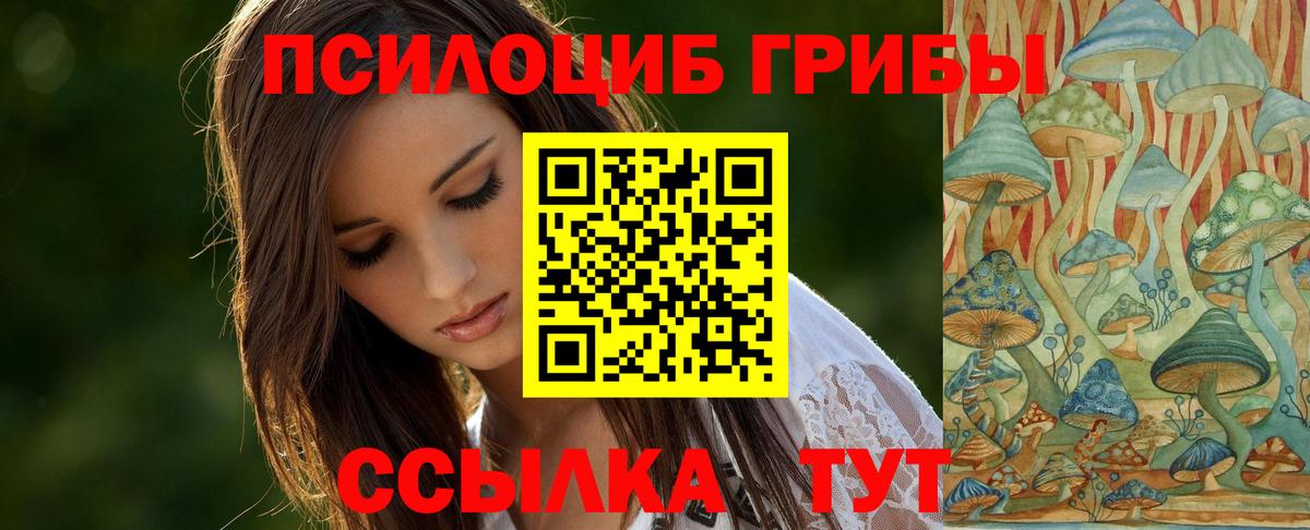 Армавир  Галлюциногенные грибы Psilocybe  Псилоцибиновые грибы Cubensis  Вход с VPN 