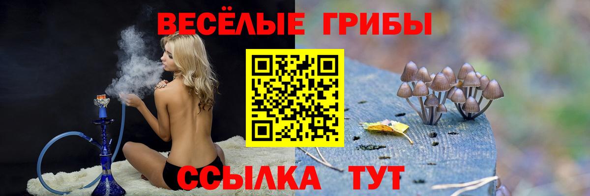 Галлюциногенные грибы Cubensis Армавир